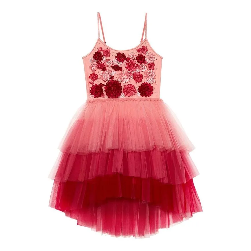 Assemblage Tutu Dress