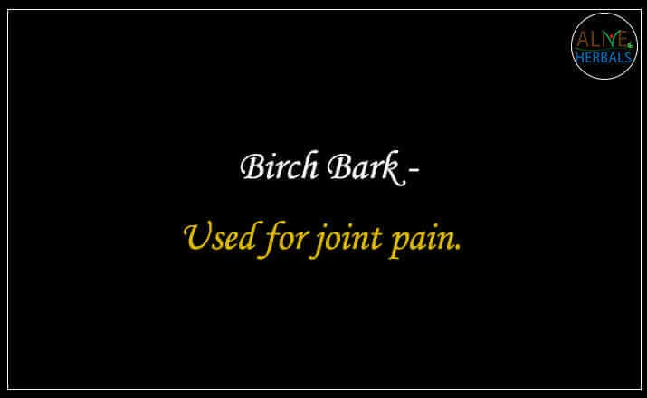 Birch Bark