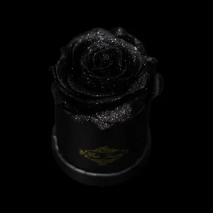 Black Glitter Roses - Black Micro Box (1 Rose)