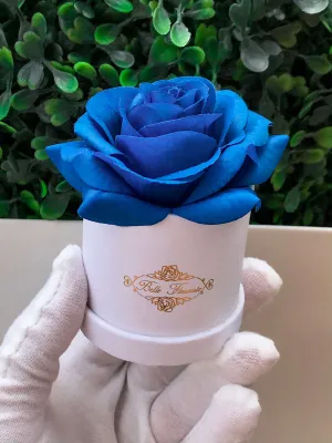 Blue Classic Micro Mini - White Box