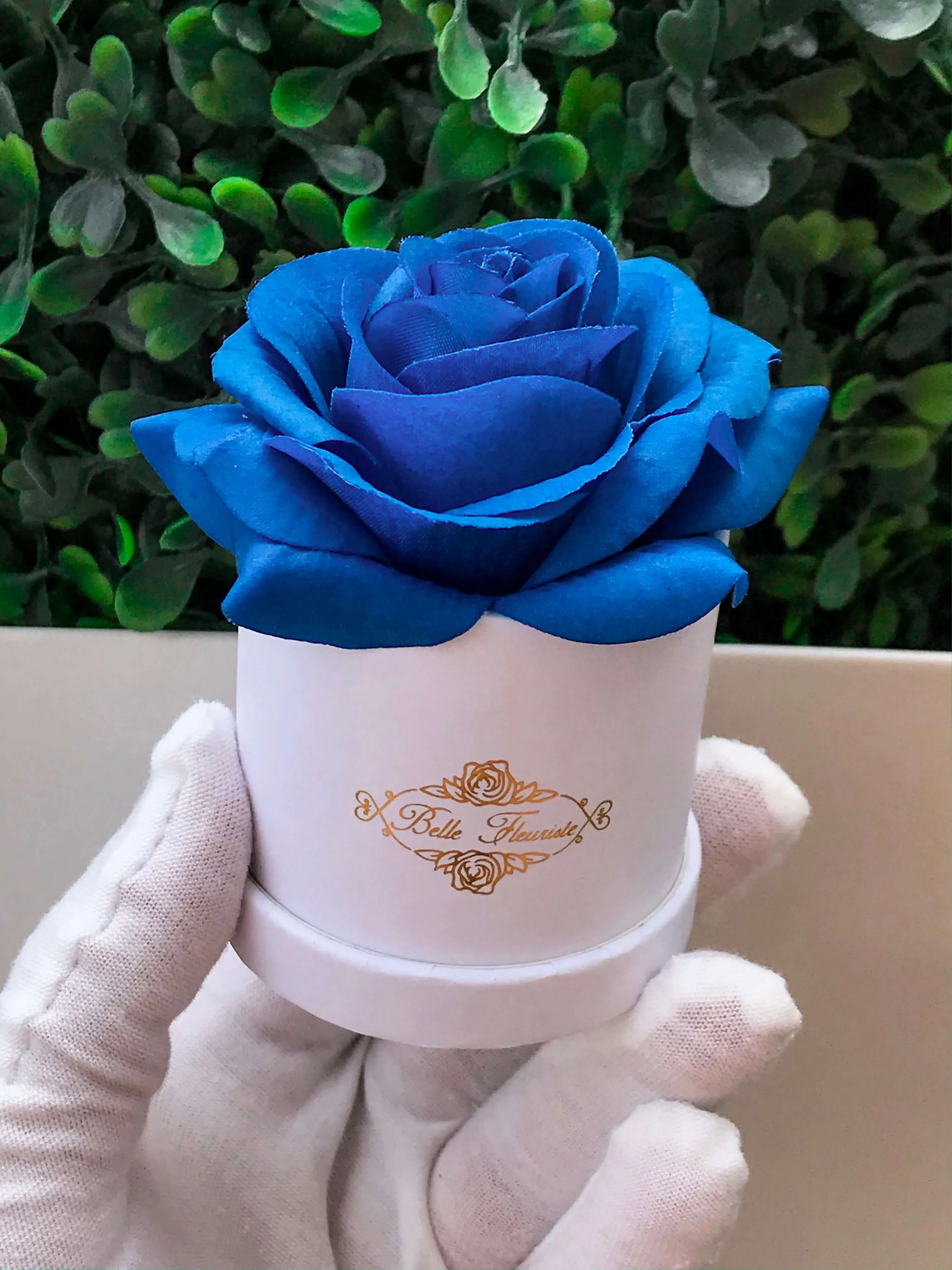 Blue Classic Micro Mini - White Box
