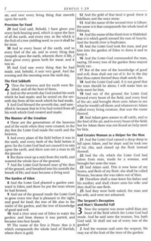 Choice Books KJV Burgundy Floral Thinline Large Print Bible {C518}