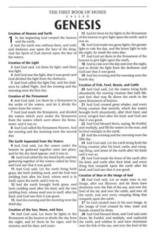 Choice Books KJV Burgundy Floral Thinline Large Print Bible {C518}
