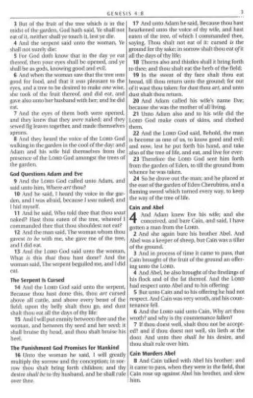Choice Books KJV Burgundy Floral Thinline Large Print Bible {C518}