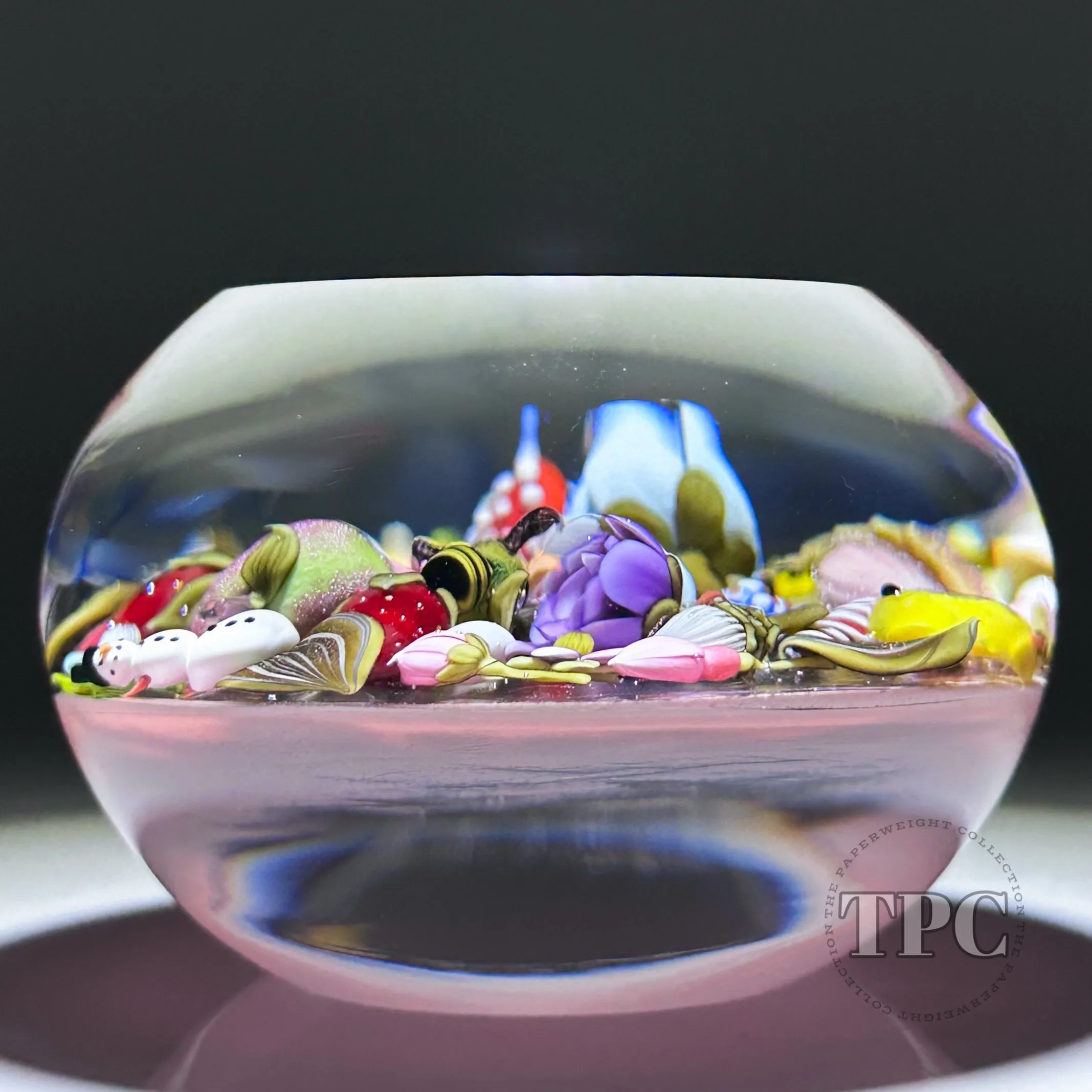 Clinton Smith 2025 Glass Art Paperweight Flamework Where's Waldo? Scramble