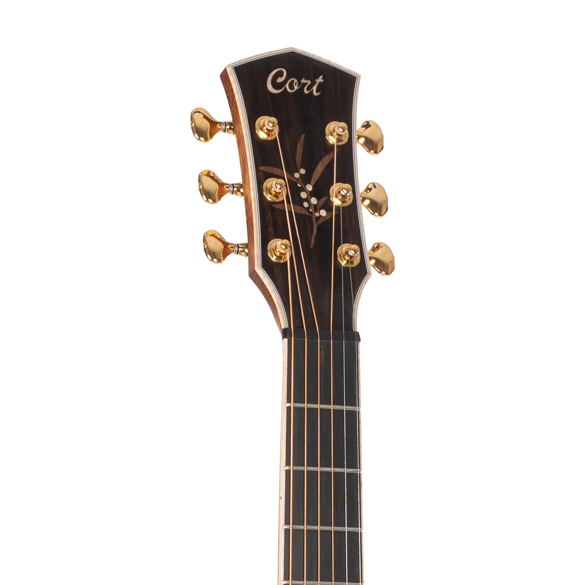 Cort THE-BLACK-TREE Limited Edition Acoustic Guitar w/Case, Light Burst Satin