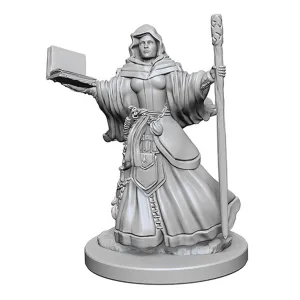 D&D Nolzurs Marvelous Unpainted Miniatures Human Female Wizard
