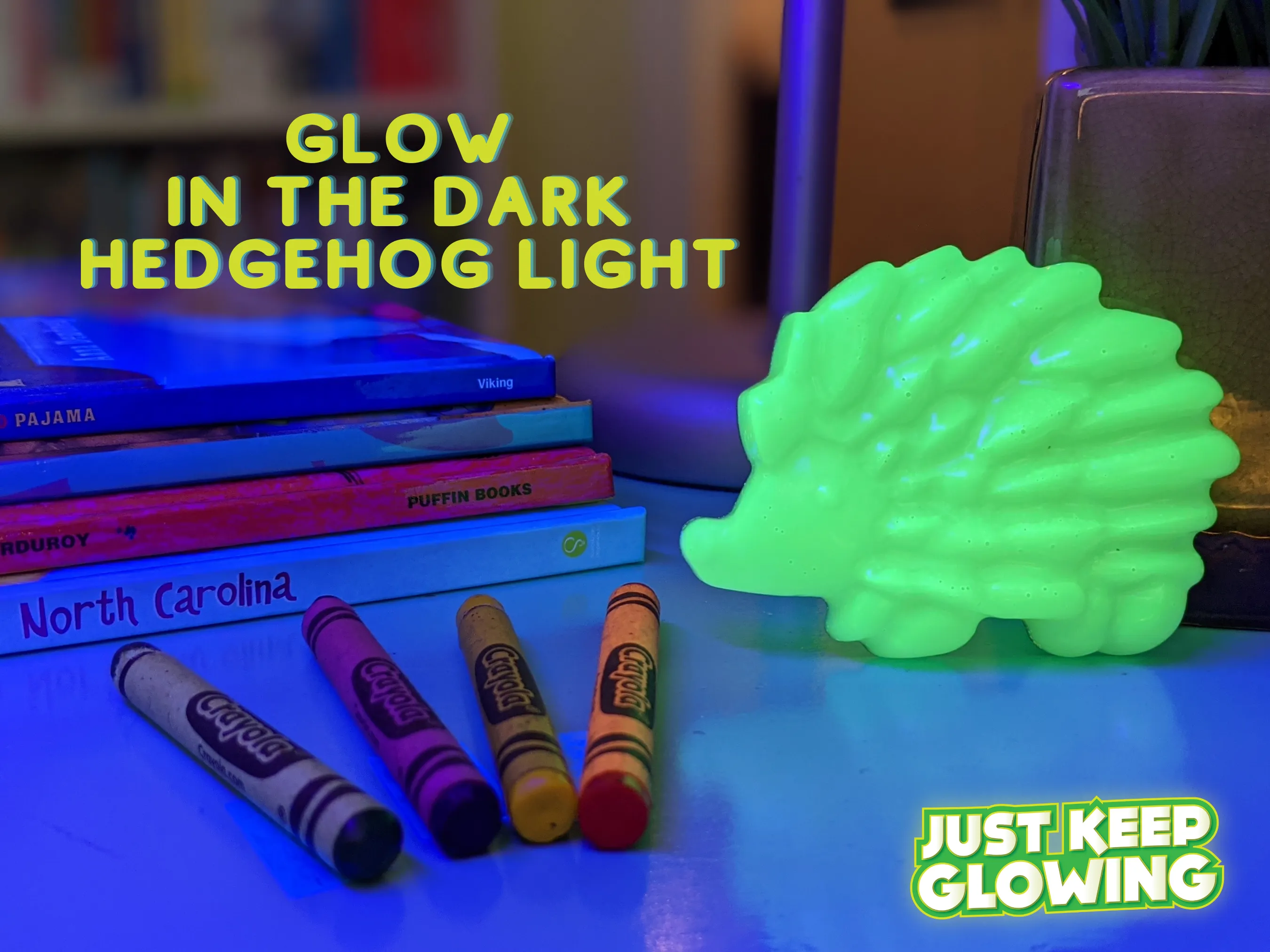 EARL THE GLOW IN THE DARK HEDGEHOG LIGHT