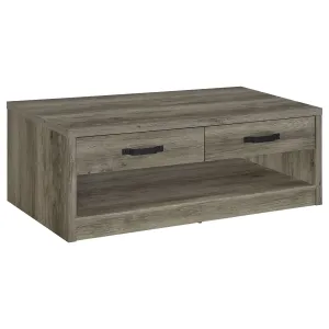 Felix 2-drawer Engineered Wood Coffee Table Grey Driftwood