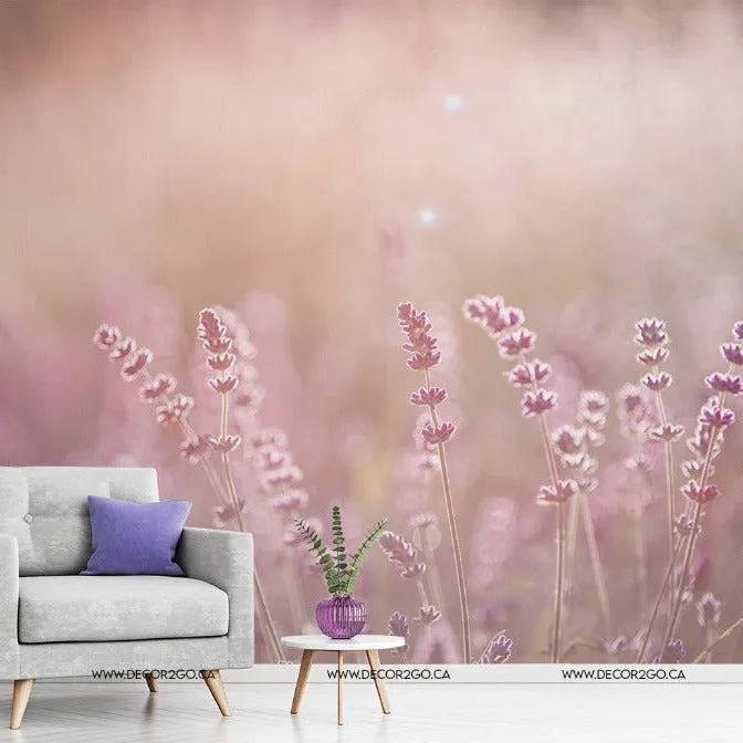 Field of Dreams Wallpaper Mural