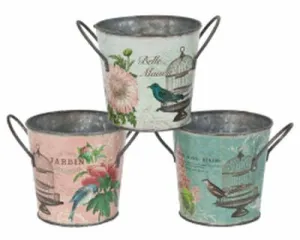 Flowers & Birdcages Metal Bucket with Handles