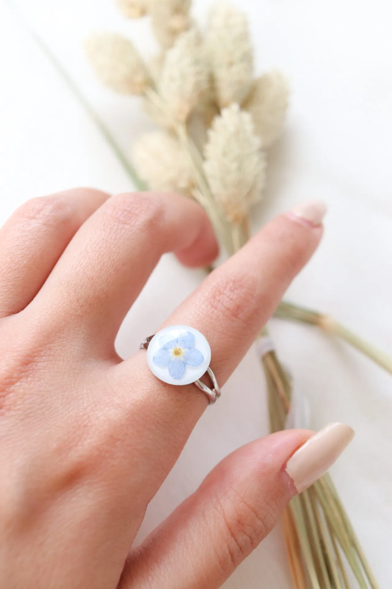 Forget-Me-Not