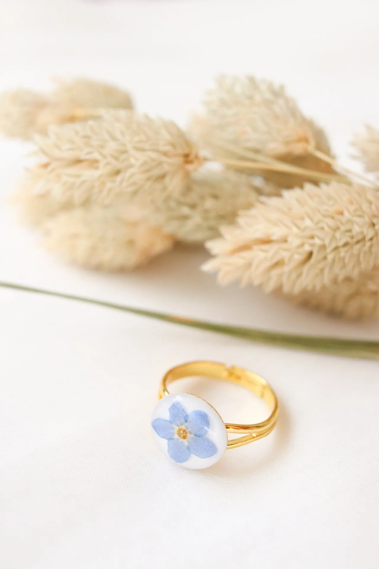 Forget-Me-Not