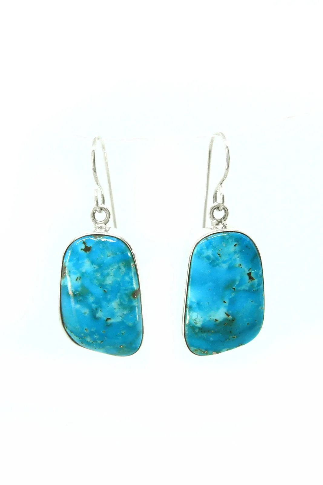 Freeform Blue Turquoise Earrings