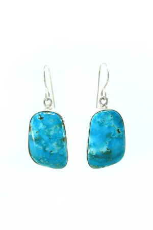 Freeform Blue Turquoise Earrings