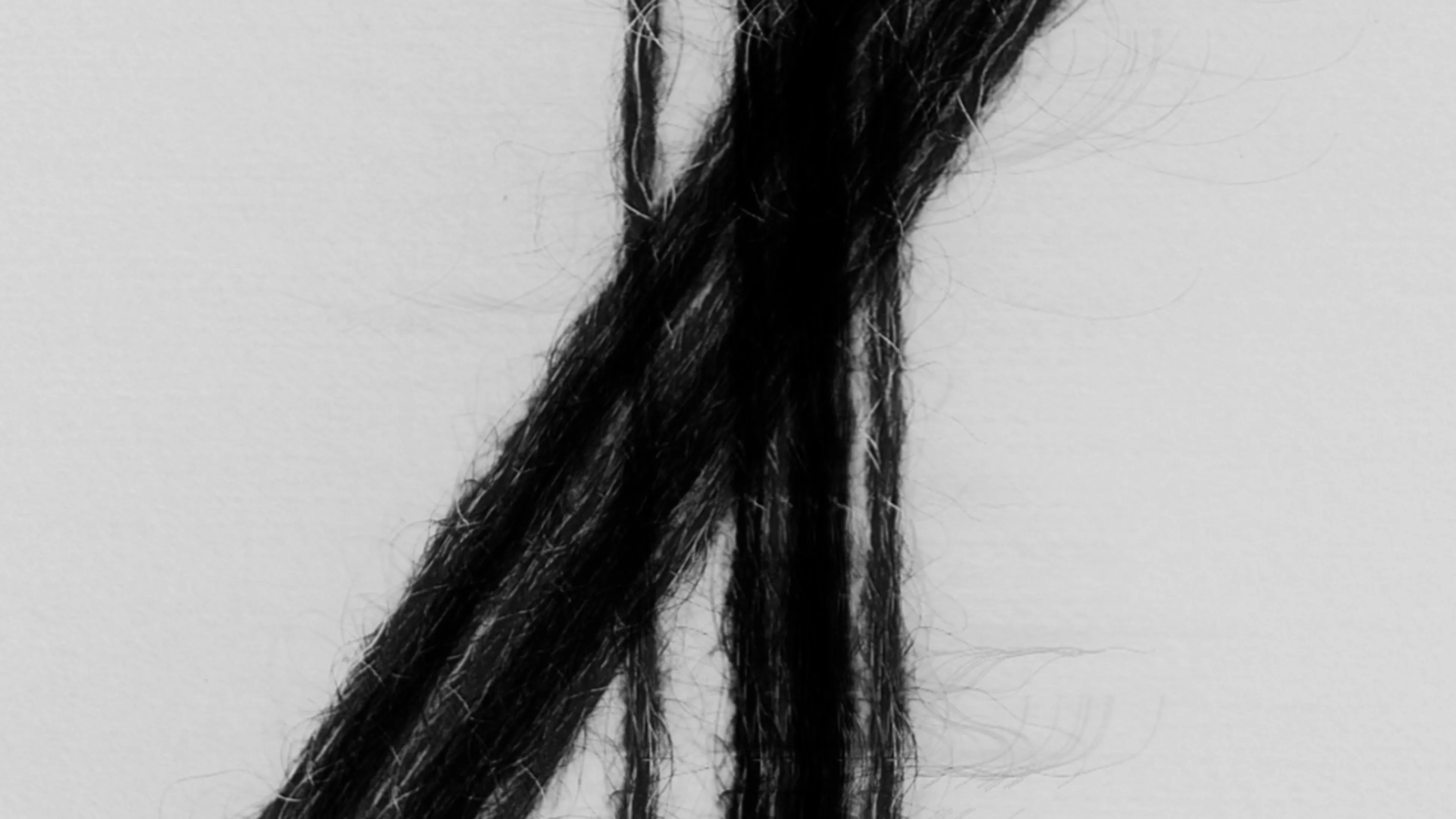 LOOM (alpaca)