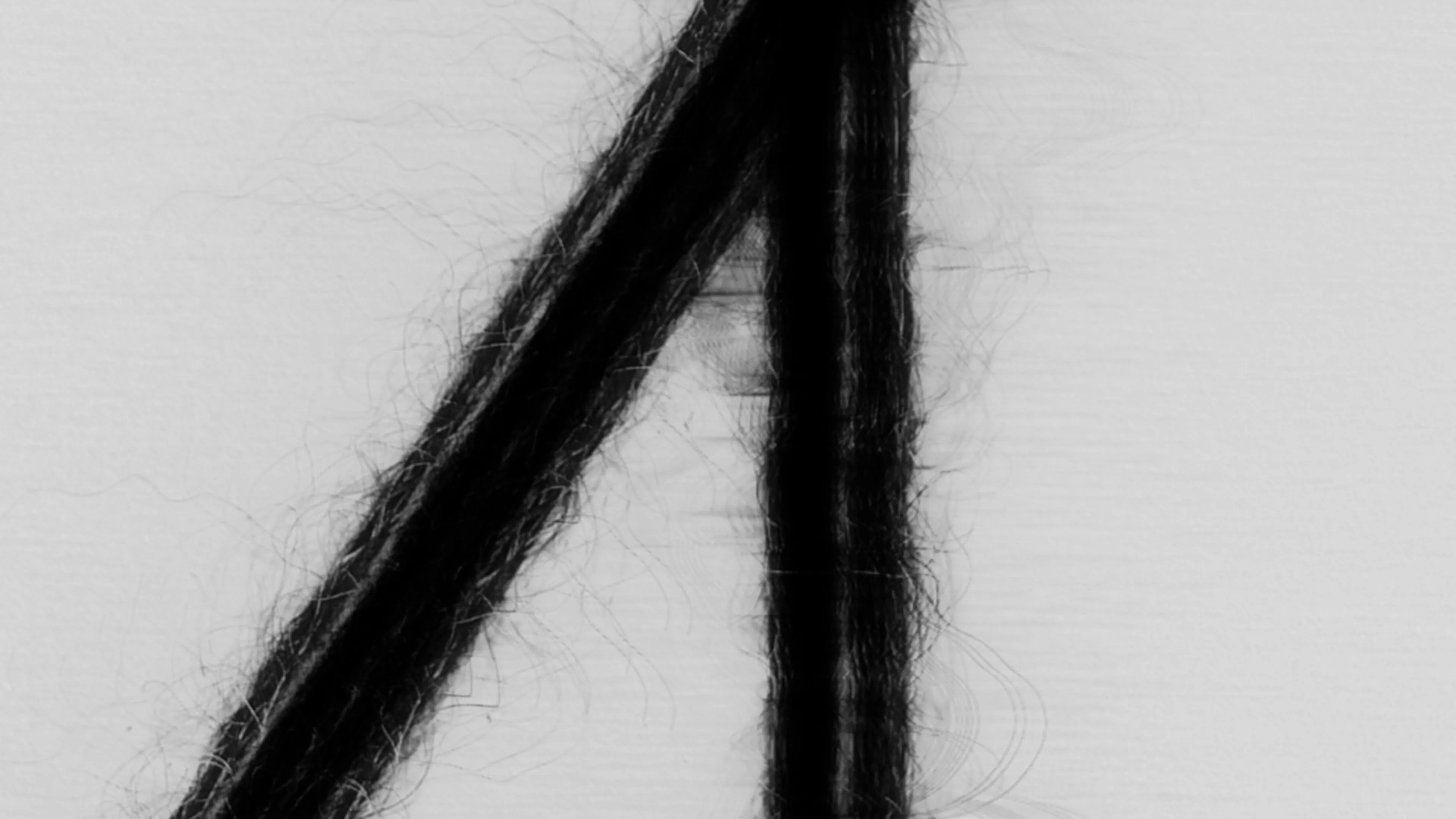 LOOM (alpaca)