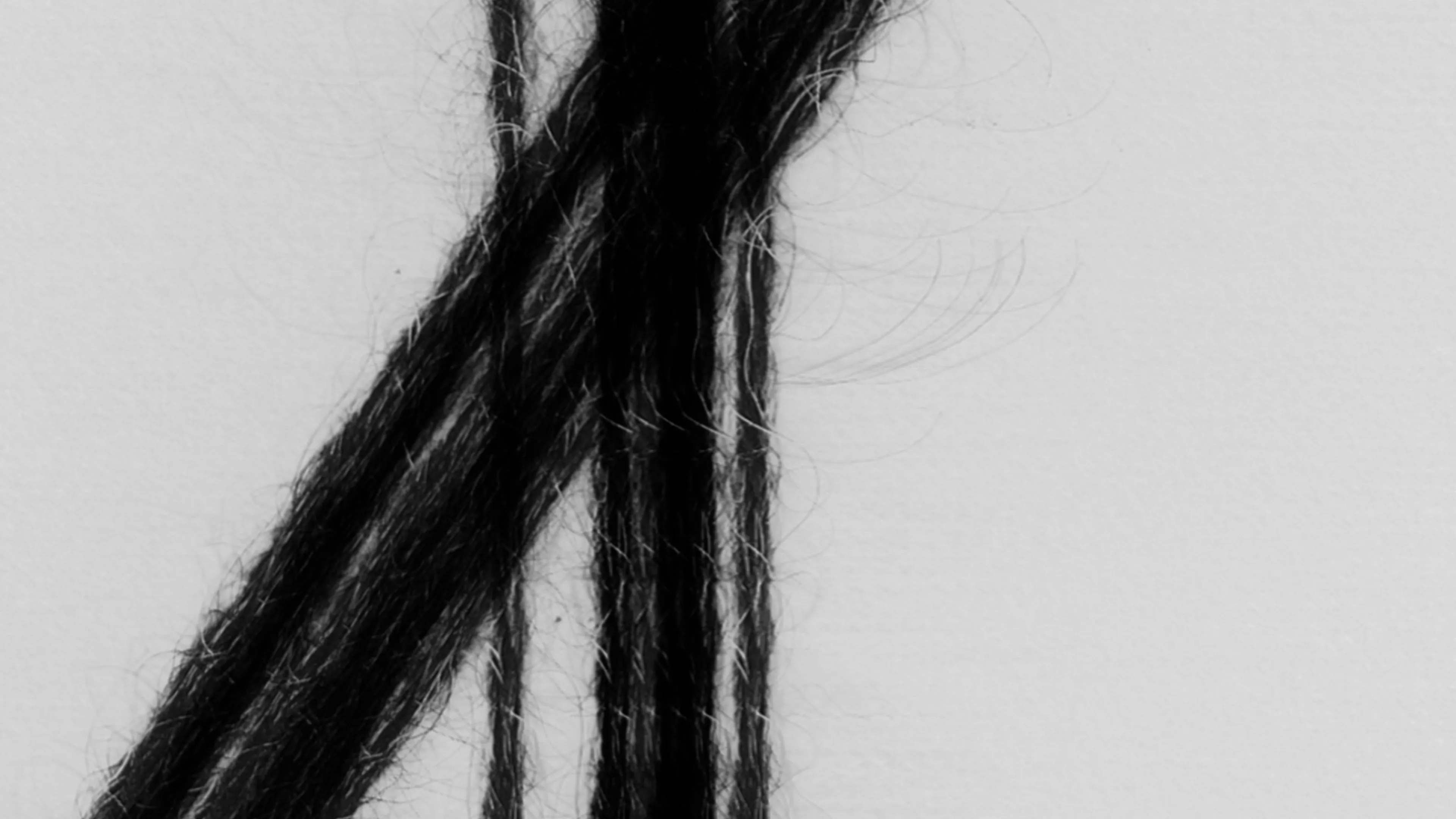LOOM (alpaca)
