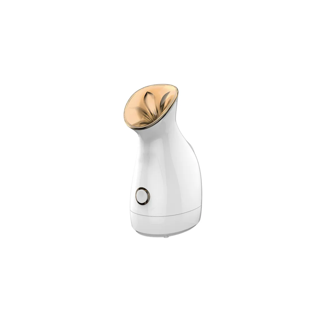 Luxury Face Steamer