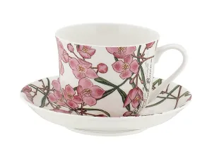 Maxwell & Williams Royal Botanic Gardens Australian Botanics Breakfast Cup & Saucer 450ML Boronia Gift Boxed