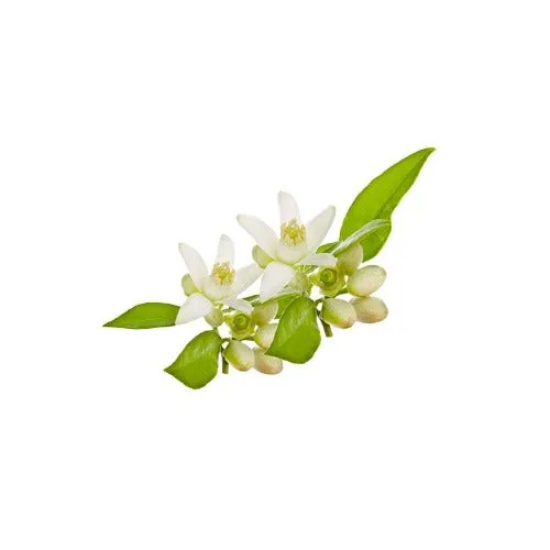 Neroli PURE Organic Essential oil