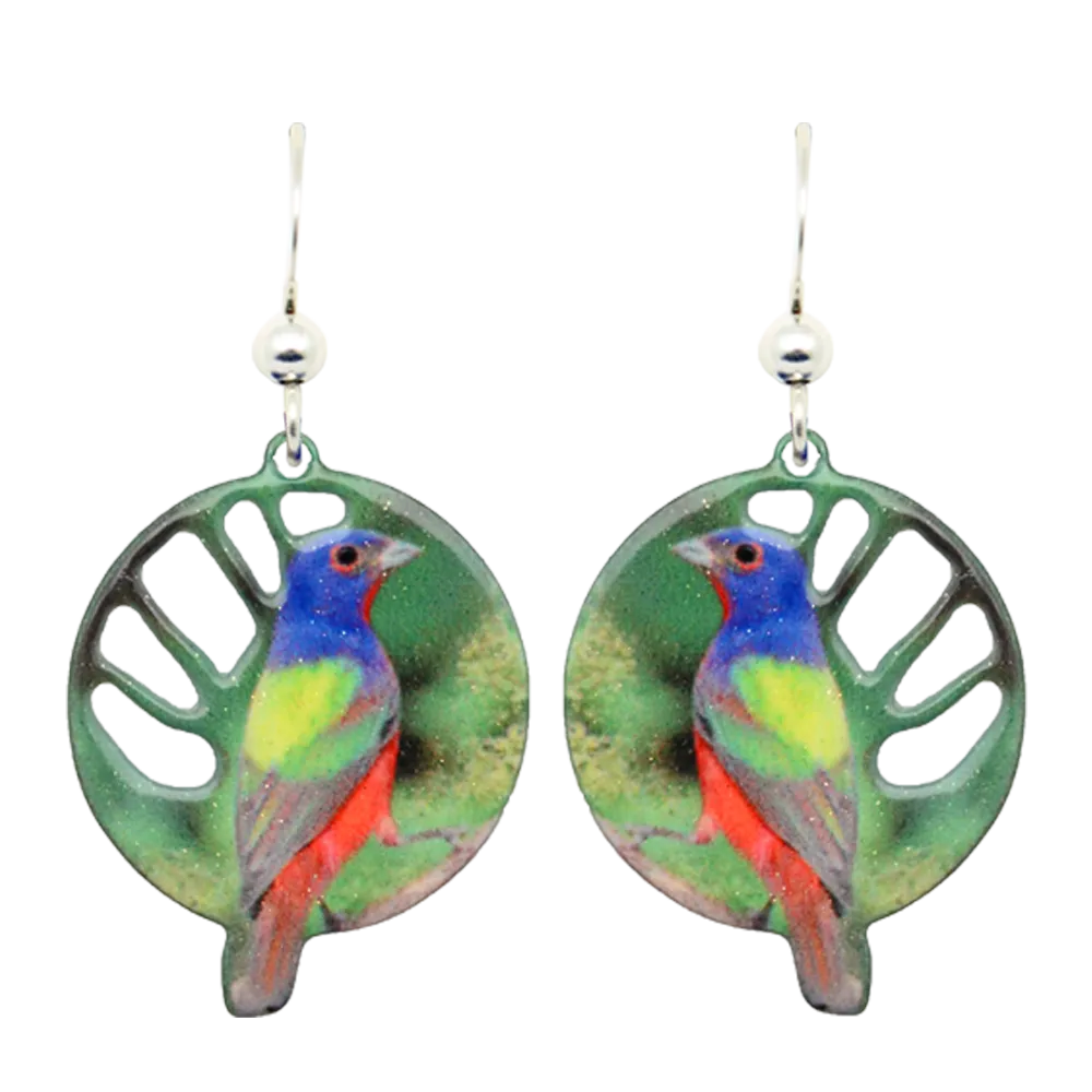 Painted Bunting