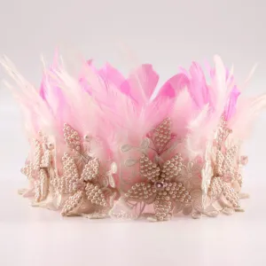 Queen Of The Kingdom Princess Crown