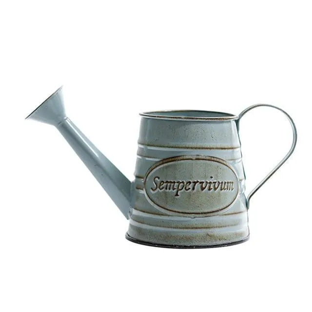 Rural Style Iron Pitcher with Antique Finish Metal Flower Pot