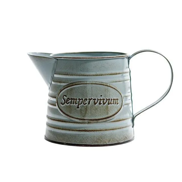 Rural Style Iron Pitcher with Antique Finish Metal Flower Pot