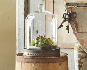 Rustic bell shaped glass cloche with base