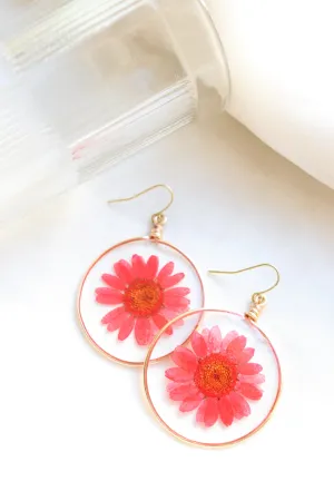 The Red Daisy