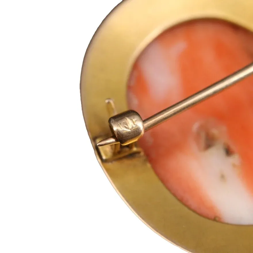Victorian Era Coral and Yellow Gold Cameo Brooch/Pendant